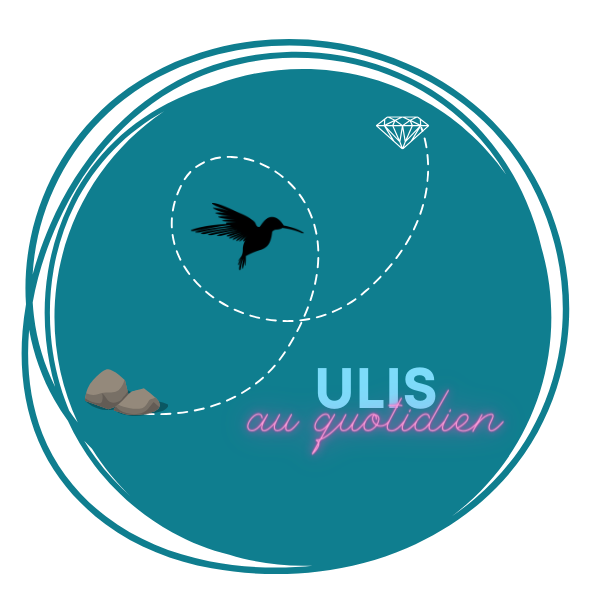 ulis au quotidien