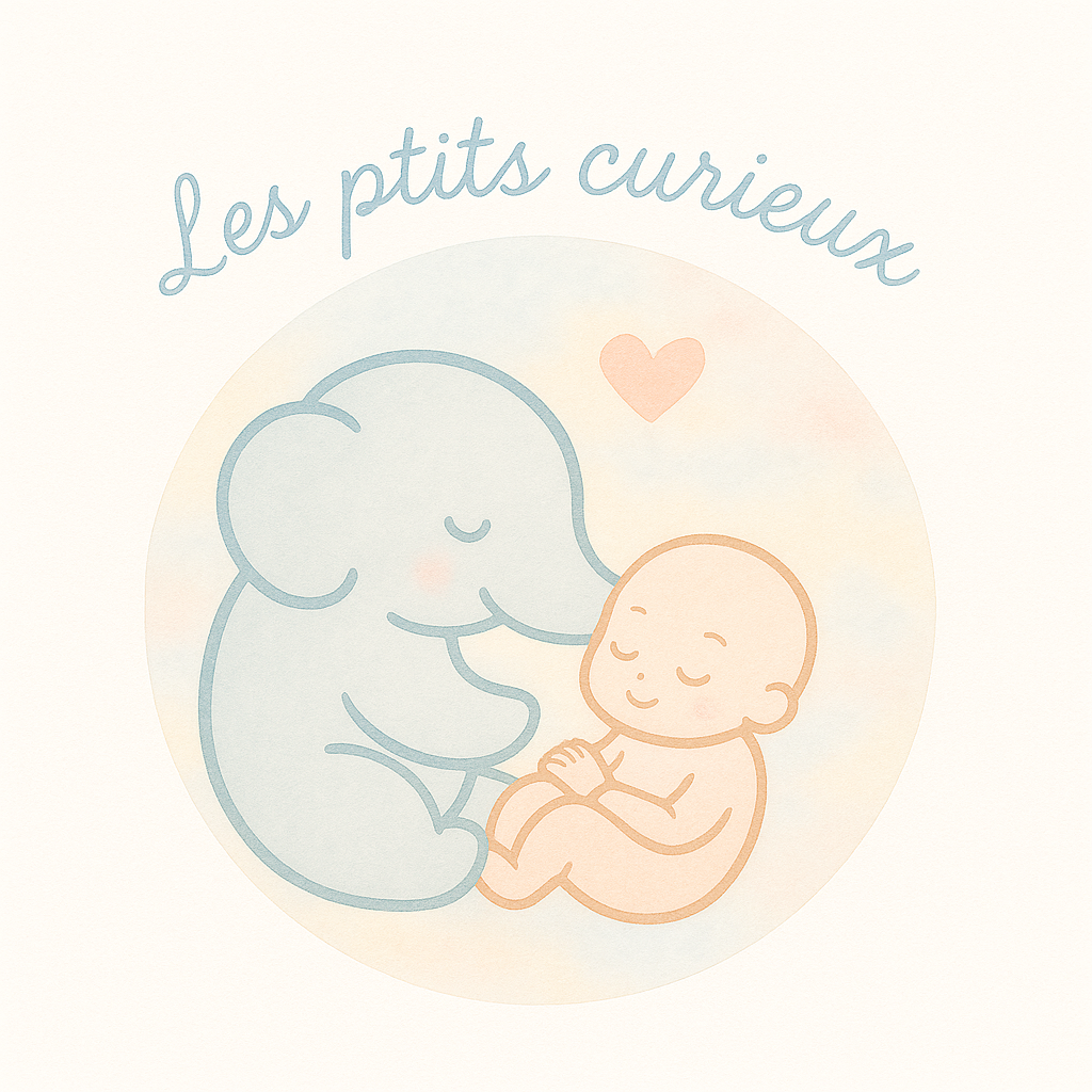 Les ptits curieux 28