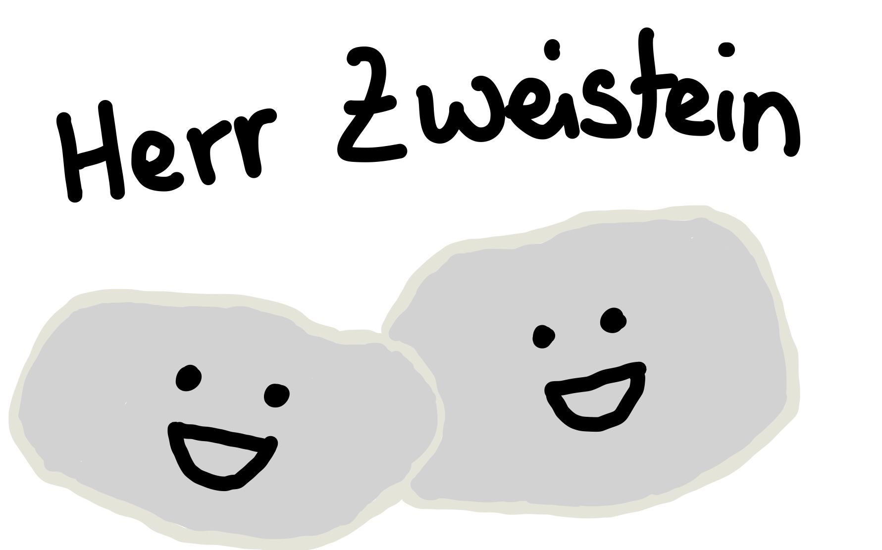Herr ZweiStein