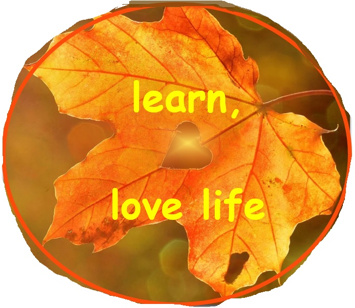 learn love live