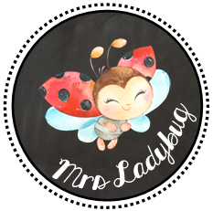 Mrs Ladybug